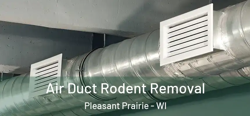 Air Duct Rodent Removal Pleasant Prairie - WI
