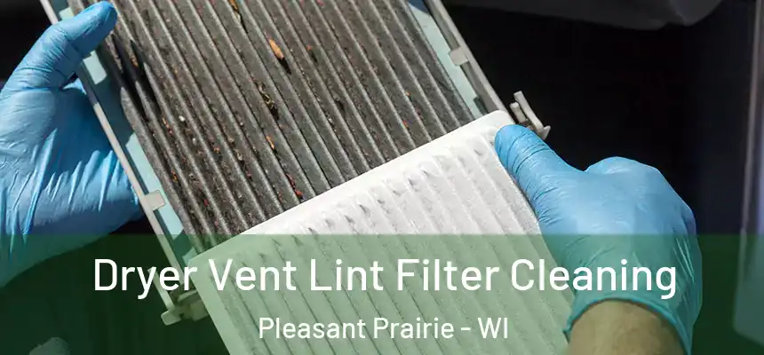  Dryer Vent Lint Filter Cleaning Pleasant Prairie - WI