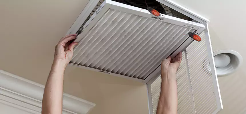 Preventive Cockroach-Proofing for Ducts in Pleasant Prairie