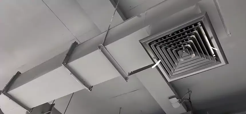 Our Pest Removal From Ducts Services in Pleasant Prairie, WI