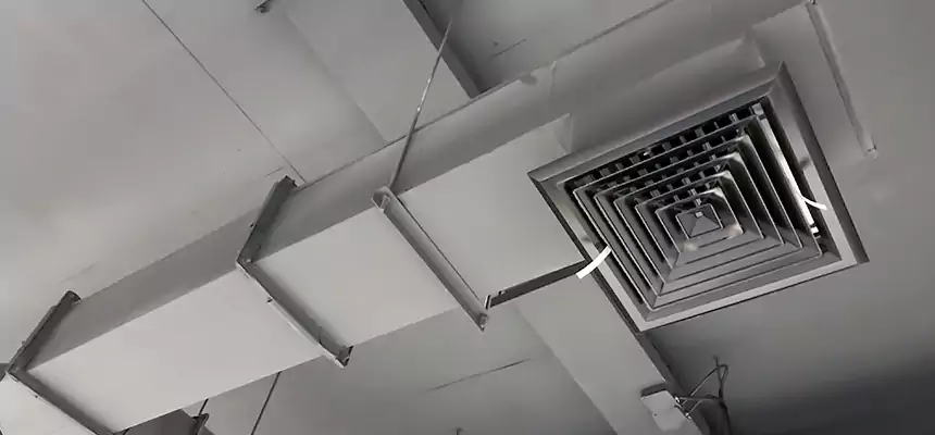 Our Rodent Droppings In Vents Services in Pleasant Prairie, WI