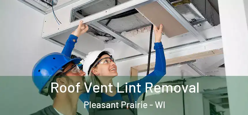 Roof Vent Lint Removal Pleasant Prairie - WI