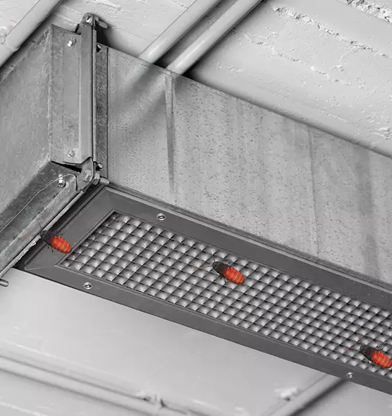 Affordable Insect Removal from Air Ducts in Pleasant Prairie, WI