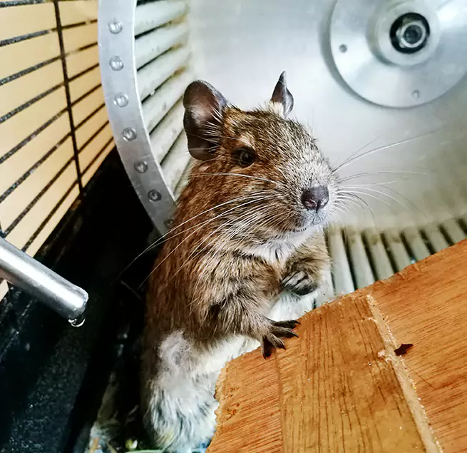 Why Homeowners & Businesses Trust Us Pleasant Prairie, WI