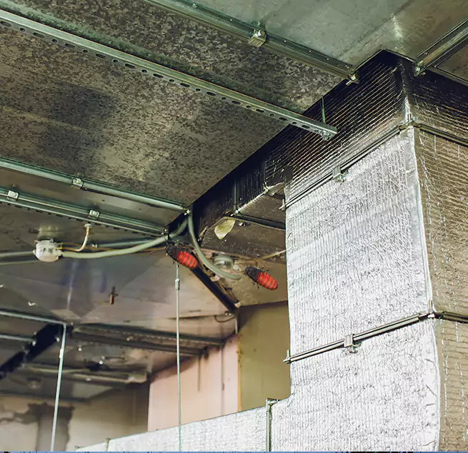 Why Homeowners & Businesses Trust Us Pleasant Prairie, WI?