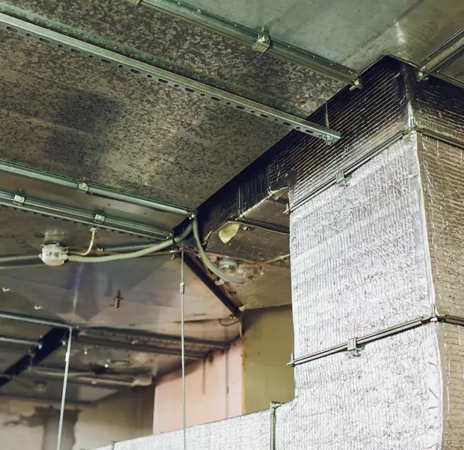 Why Homeowners & Businesses Trust Us in Pleasant Prairie, WI?